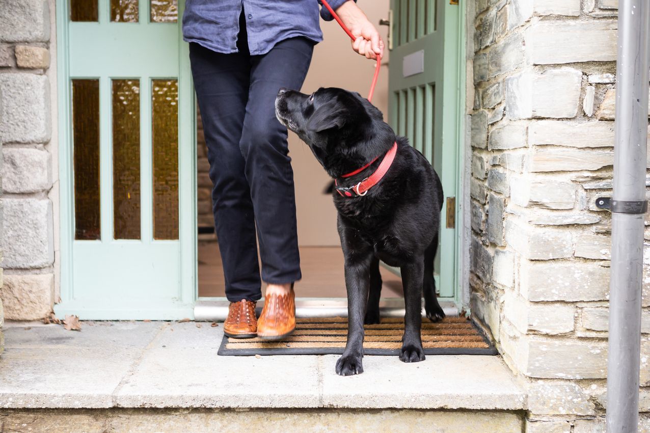 dog friendly one bedroom cottage near Looe in Cornwall